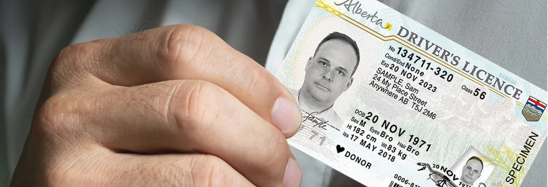 Driver's License Renewal